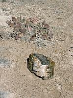 Escalante state park (5).JPG
